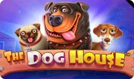 Wazamba Casino giochi The Dog House